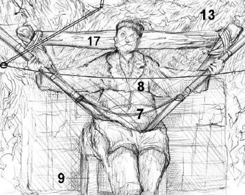 Esquema caça de tords a coll