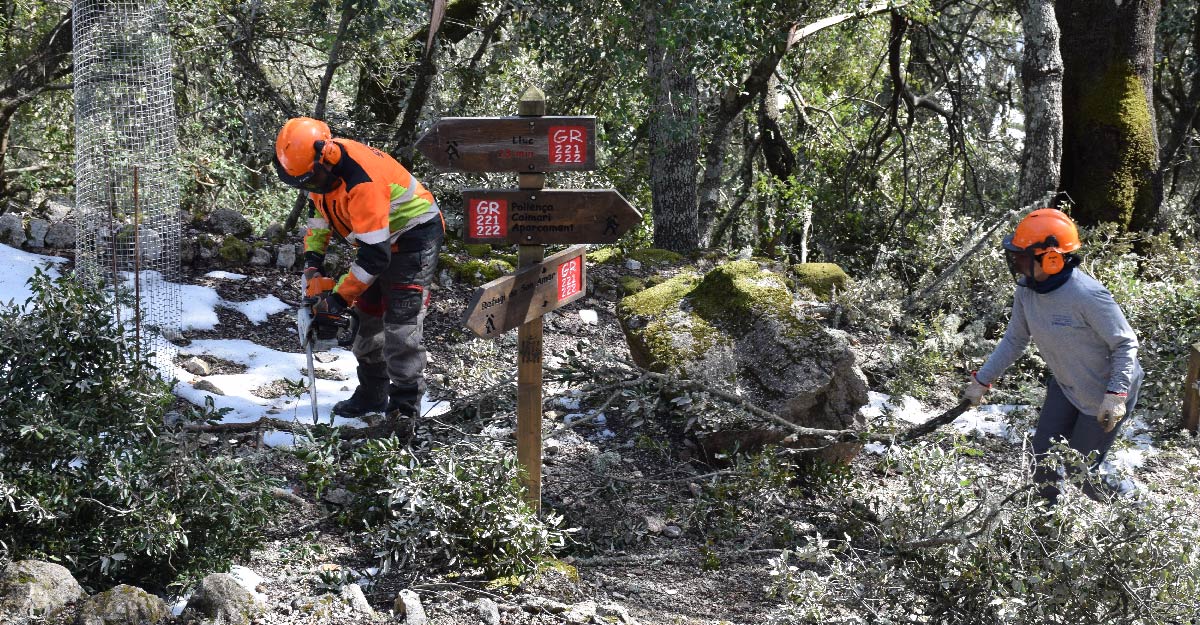 Limpieza forestal de diferentes tramos de la Ruta de Pedra en Sec afectados por la borrasca Juliette