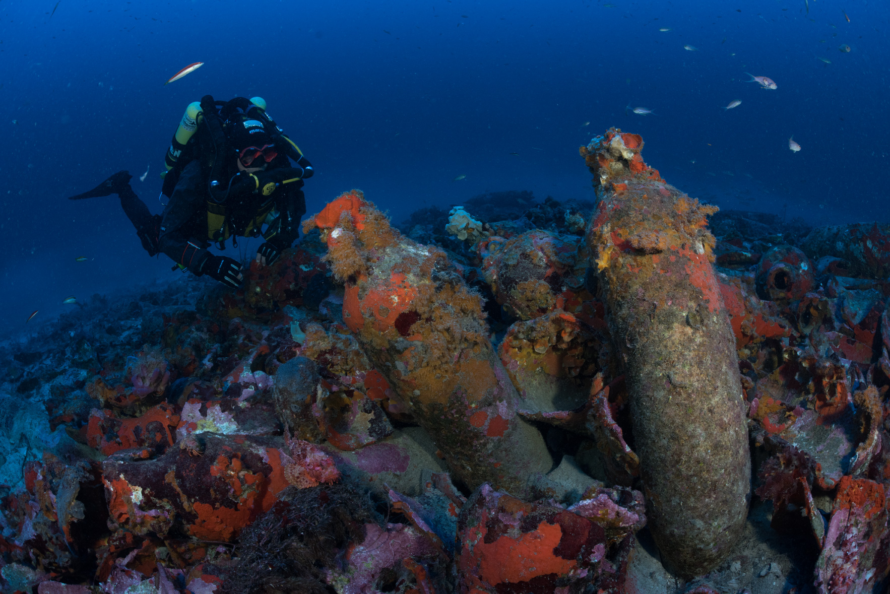 Roman wreck Cabrera 14. Photo: Jordi Chias Pujol