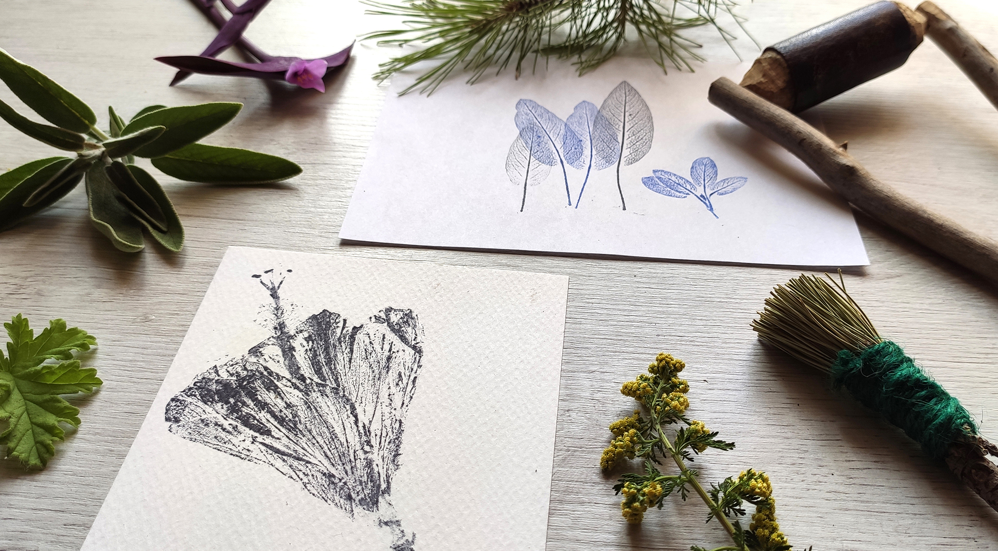 Taller de segells botànics