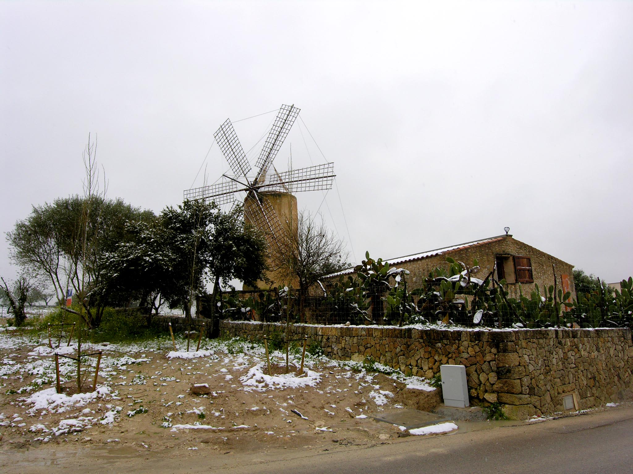 Molino d'en Fraret (Montuïri). Sede del Museo Arqueológico de Son Fornés