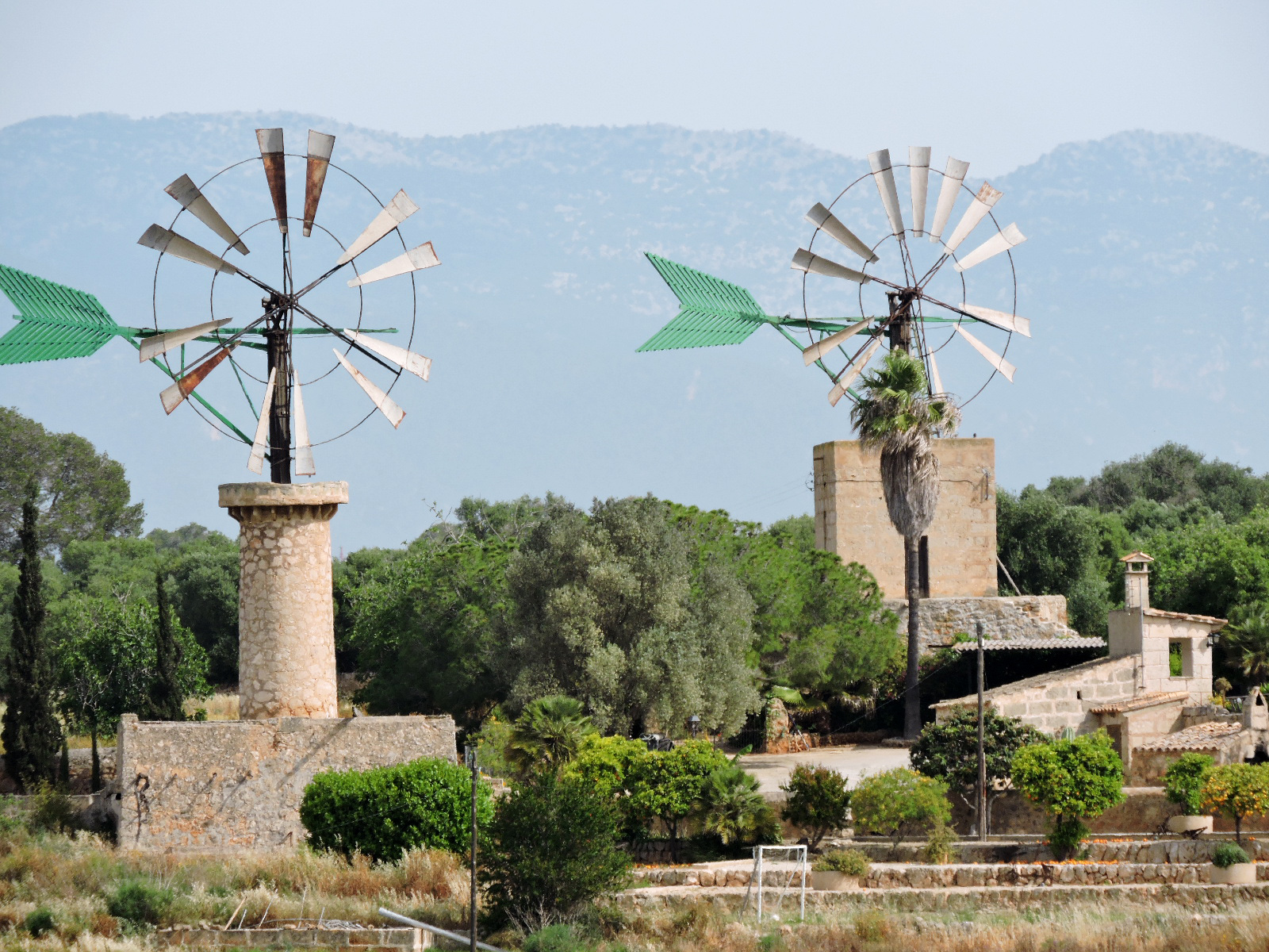 Molinos de palas en el Pla de Sant Jordi (Palma)