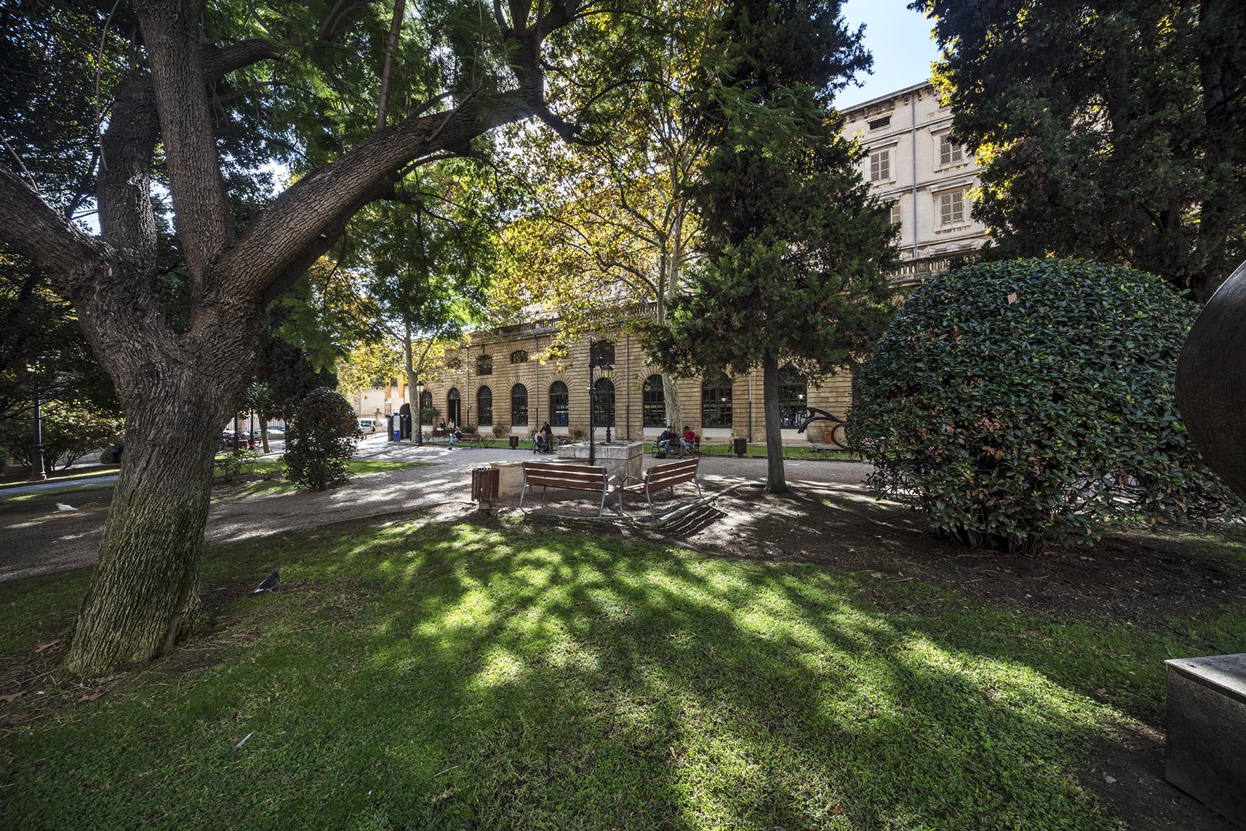 Panorámica del jardín exterior