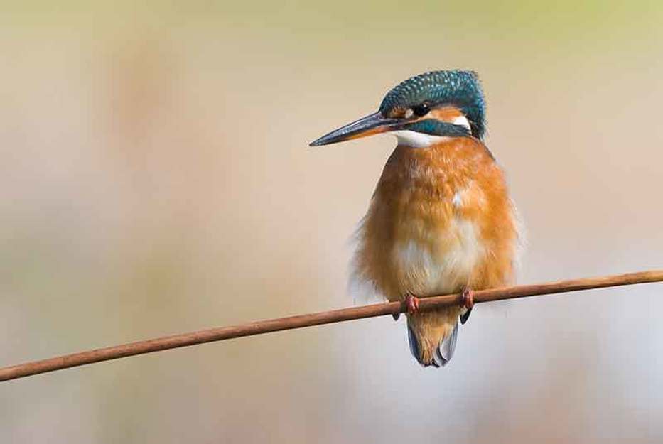 Exposició Mirades obertes a la natura