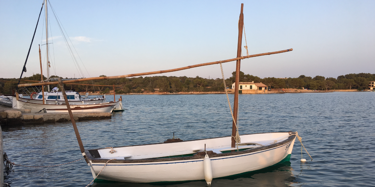 <i>Llantxa felanitxera</i> in the harbor of Portocolom